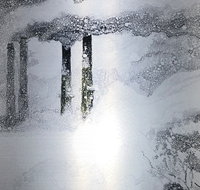 Fragile environment - stockroom display - Palm Beach Accommodation