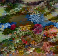 Glenrock Gardens Open Garden - Palm Beach Accommodation