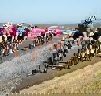 Great Ocean  Otway Classic Ride - Palm Beach Accommodation