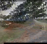 Hartwood Campfires and Country Music - Palm Beach Accommodation