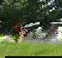 High Country Writers Festival - Palm Beach Accommodation