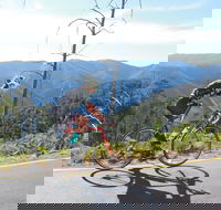 High Country Women's Cycling Festival - Palm Beach Accommodation