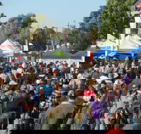 Hunter Valley Caravan Camping 4WD Fish and Boat Show - Palm Beach Accommodation