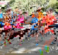 MAAS Group Dubbo Stampede Running Festival - Palm Beach Accommodation