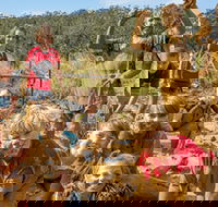 Mini Muddies Obstacle Challenge at Bunnamagoo Estate - Palm Beach Accommodation
