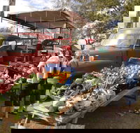 Murphys Creek Markets - Palm Beach Accommodation