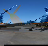 October Weekend Aircraft Showcase - Palm Beach Accommodation