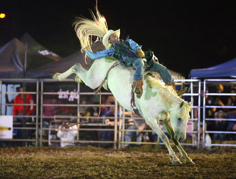Patches Asphalt Queanbeyan Rodeo - Palm Beach Accommodation 2