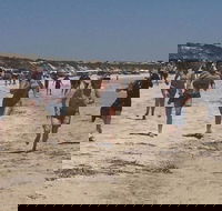 Perlubie Beach Sports Day - Palm Beach Accommodation