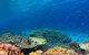 Recovery Of The Great Barrier Reef - thumb 0