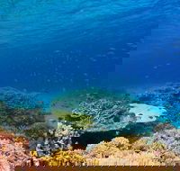 Recovery of the Great Barrier Reef - Palm Beach Accommodation