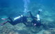 Recovery Of The Great Barrier Reef - thumb 1