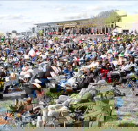 Riverfest Food Wine and Music Festival - Palm Beach Accommodation