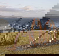 Sculpture Bermagui - Palm Beach Accommodation