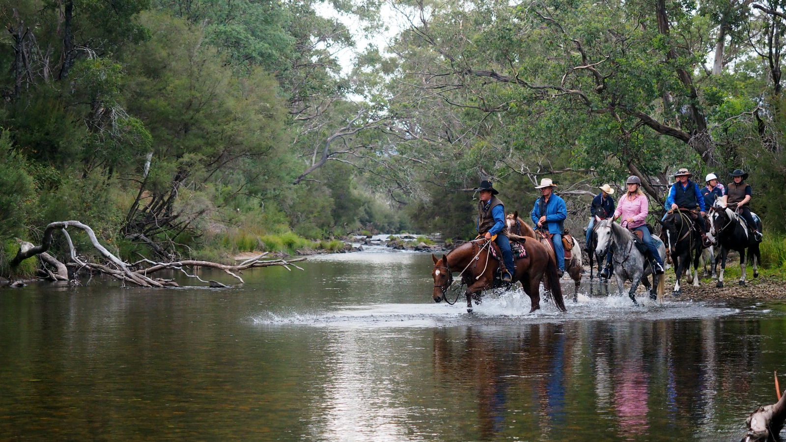 Corryong VIC Palm Beach Accommodation