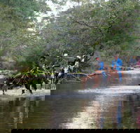 The Man From Snowy River Bush Festival - Palm Beach Accommodation