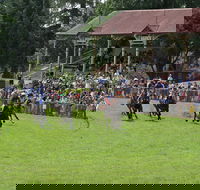 Tumut Boxing Day Races - Palm Beach Accommodation