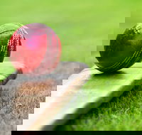 Under 13 14 15 Cricket Youth Championships - Palm Beach Accommodation