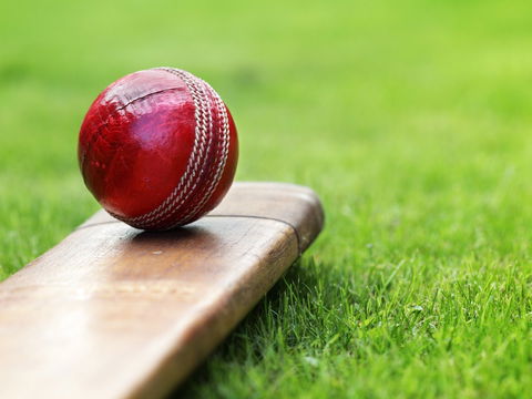 Under 13 14 15 Cricket Youth Championships - Palm Beach Accommodation 0