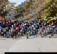 Wagga Lake Run Ride - Palm Beach Accommodation