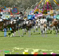Wangaratta Show - Palm Beach Accommodation