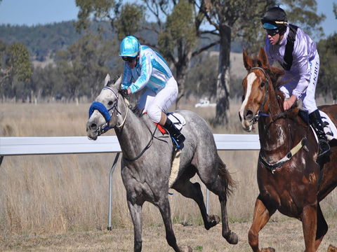 Wean Picnic Races - Palm Beach Accommodation 0