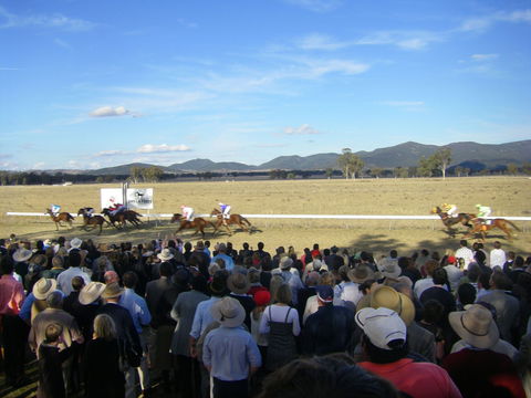 Wean Picnic Races - Palm Beach Accommodation 1