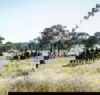 Weddin Mountain Muster - Palm Beach Accommodation