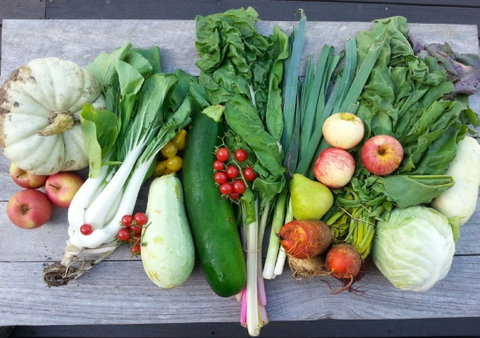 Wingham Farmers Market - Palm Beach Accommodation 0