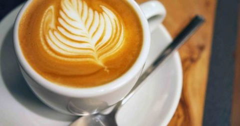 A Wild Night Out - Spring - Palm Beach Accommodation 3