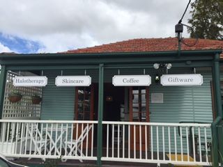 A Wild Night Out - Spring - Palm Beach Accommodation 4