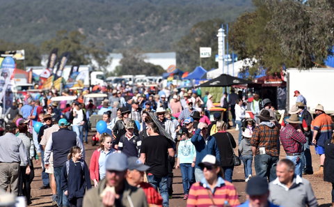 AgQuip - Palm Beach Accommodation 0