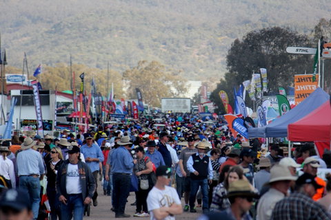 AgQuip - Palm Beach Accommodation 1