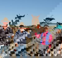 Annual Prairie Races - Palm Beach Accommodation
