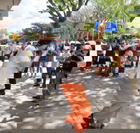 Australian National Busking Championships - Palm Beach Accommodation