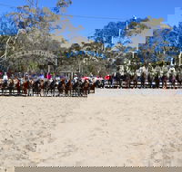 Australian Campdraft Association National Finals Campdraft 2021 - Palm Beach Accommodation