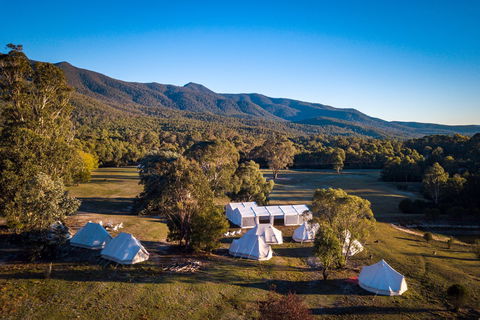 A Wild Night Out - Spring - Palm Beach Accommodation 5