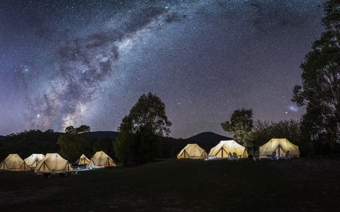 A Wild Night Out - Spring - Palm Beach Accommodation 6