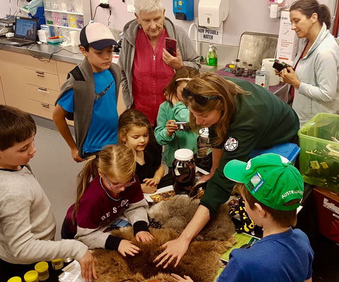 A Wild Night Out - Spring - Palm Beach Accommodation 7