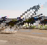 Bedourie Races and Rodeo - Palm Beach Accommodation