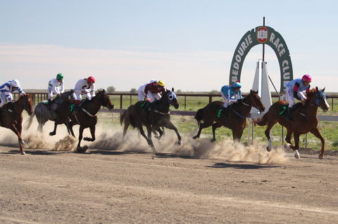 Bedourie Races And Rodeo - Palm Beach Accommodation 0