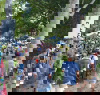 Bellingen Community Markets - Palm Beach Accommodation