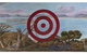 Belonging: Stories Of Australian Art - thumb 0