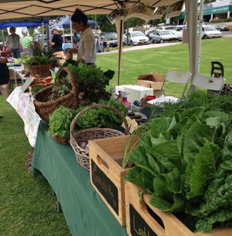 Bermagui Growers Market - Palm Beach Accommodation 5