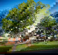 Big Bat Wildlife and Eco Festival - Palm Beach Accommodation