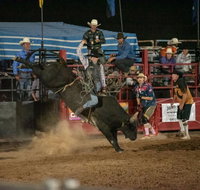 Black Opal Bull and Bronc Ride - Palm Beach Accommodation