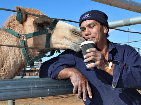 Boulia Camel Races - Palm Beach Accommodation 2