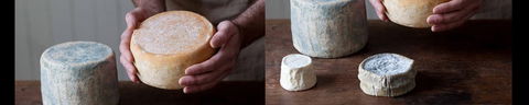 Cheese Making Basics Class - Palm Beach Accommodation 0