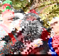 Christmas on the Plains - Quirindi - Palm Beach Accommodation