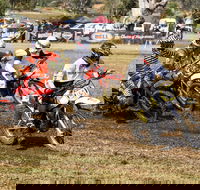 Dust Hustle Queensland Moto Park - Palm Beach Accommodation